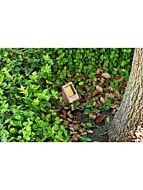 focus-industries_dl-04-brs