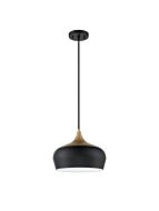 kendal-lighting_pf129-blk-brs_1