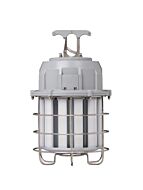 light-efficient-design_led-9009-100-5f