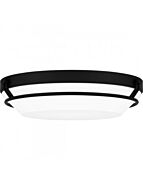 quoizel-lighting_dnb1616mbk