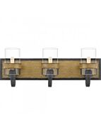 quoizel-lighting_fin8624awn