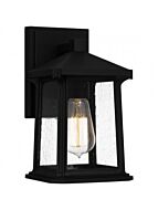 quoizel-lighting_sat8406mbk