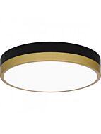 quoizel-lighting_wln1611mbkg