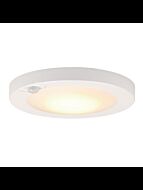 westinghouse_6111700