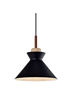 young-lighting_3060p-bk