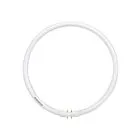 Tube T5 CFL circulaire, à 4 broches Ledvance FPC40830 40W