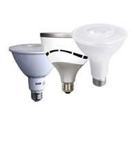 Ampoules PAR LED